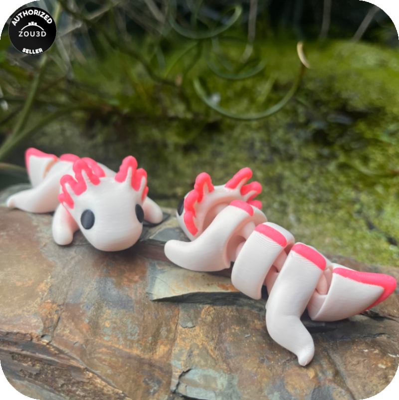YP3D_Website_Category_ModelCollection_Animals_05007_Axolotl2 Axolotl