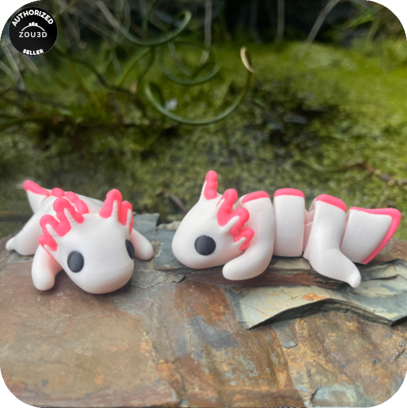 YP3D_Website_Category_ModelCollection_Animals_05007_Axolotl3 Axolotl