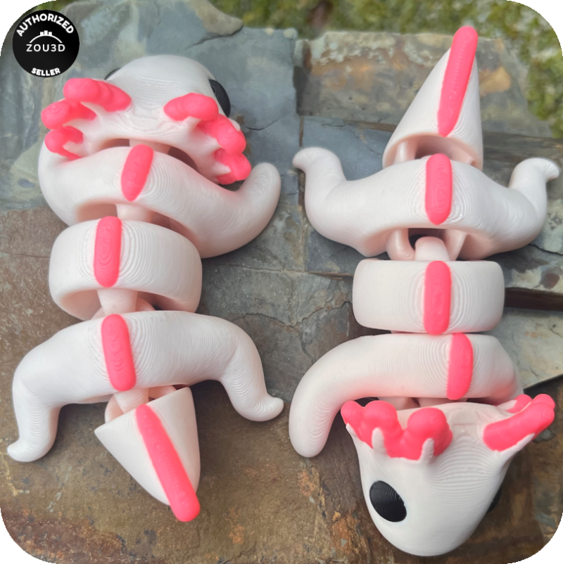 YP3D_Website_Category_ModelCollection_Animals_05007_Axolotl4 Axolotl