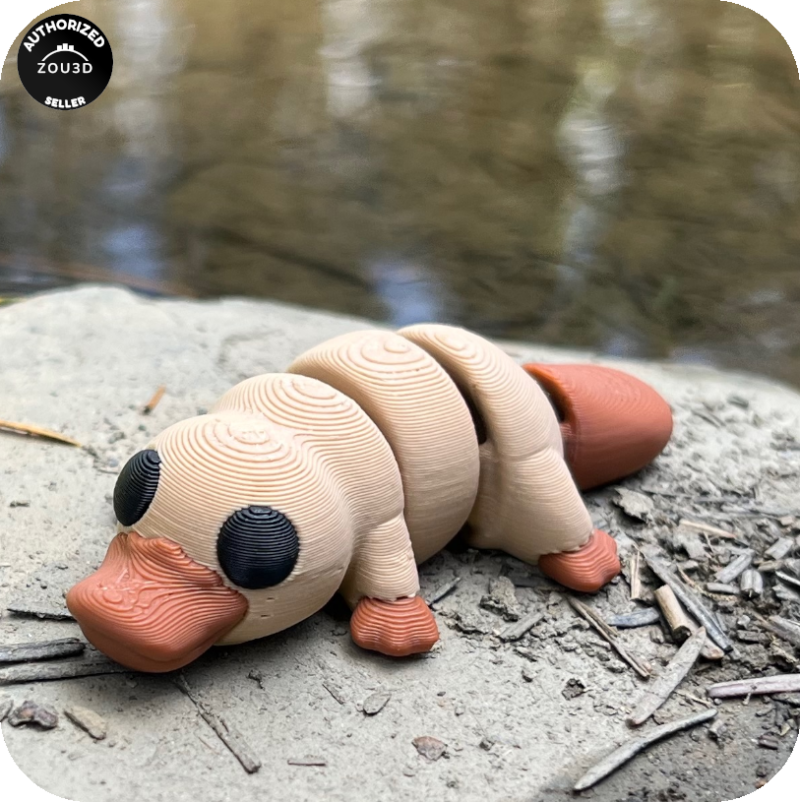 YP3D_Website_Category_ModelCollection_Animals_05183_Platypus1 Platypus