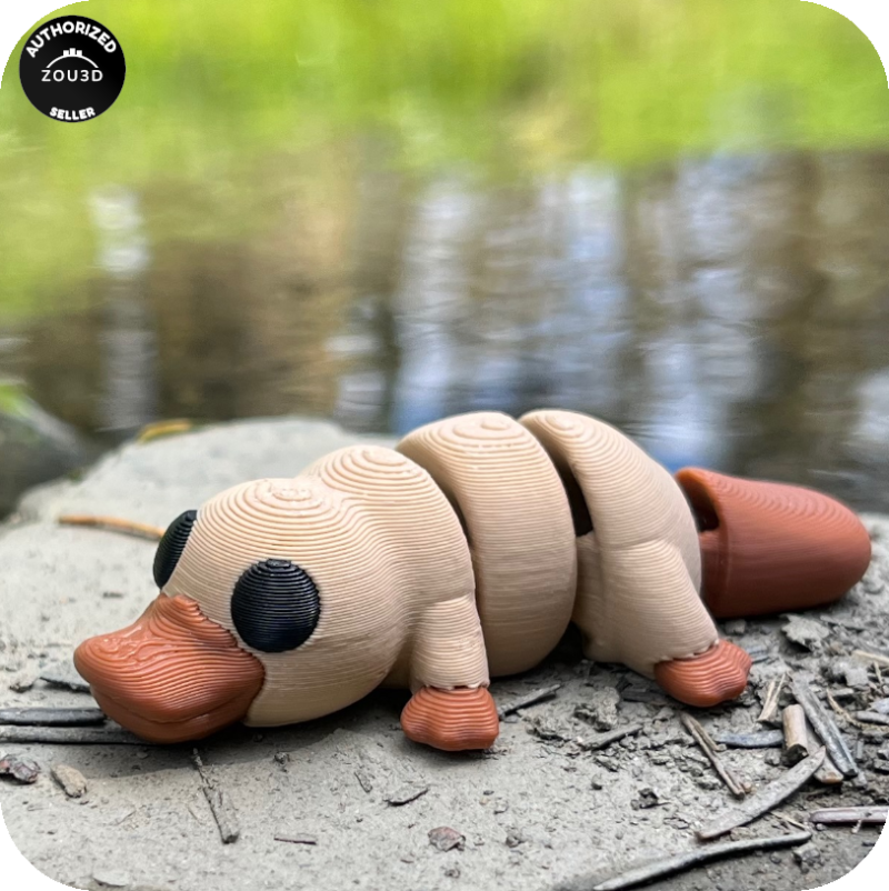 YP3D_Website_Category_ModelCollection_Animals_05183_Platypus2 Platypus