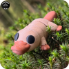 YP3D_Website_Category_ModelCollection_Animals_05183_Platypus3 Platypus