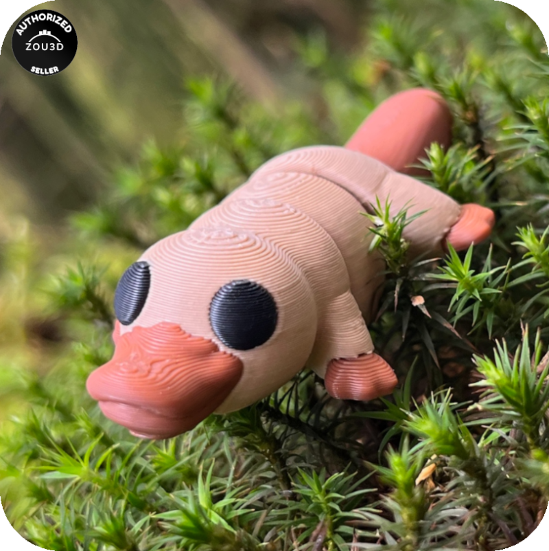 YP3D_Website_Category_ModelCollection_Animals_05183_Platypus3 Platypus