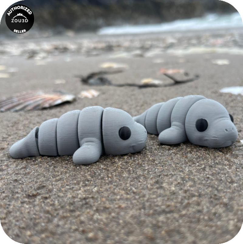YP3D_Website_Category_ModelCollection_Animals_05044_Manatee1 Manatee
