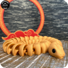 Year of the Snake
