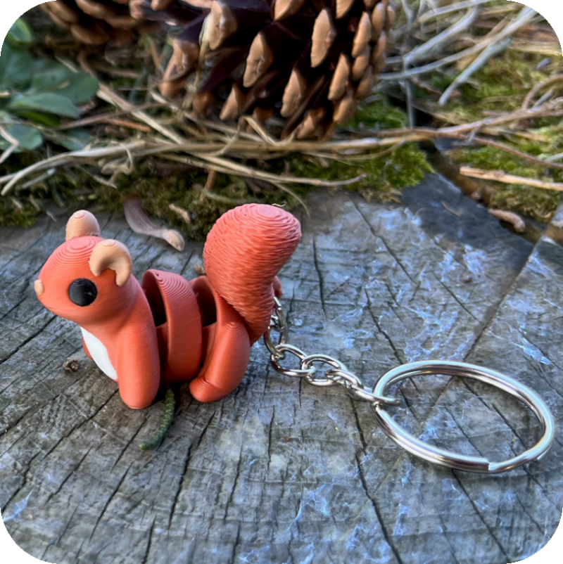 Squirrel