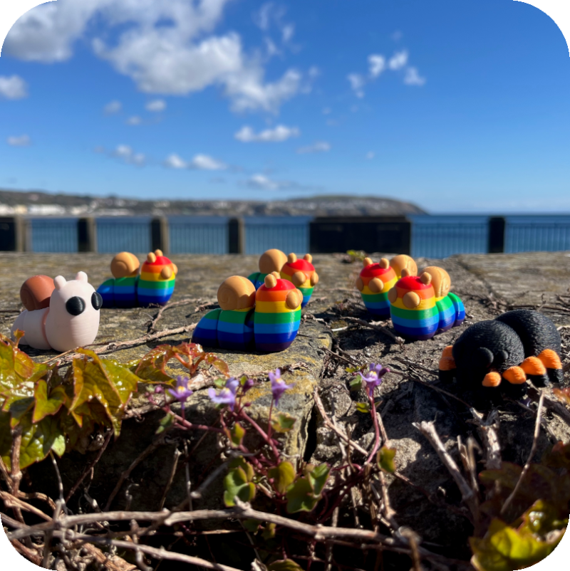 Snail - Rainbow Snail