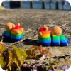 Snail - Rainbow Snail