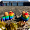 Snail - Rainbow Snail