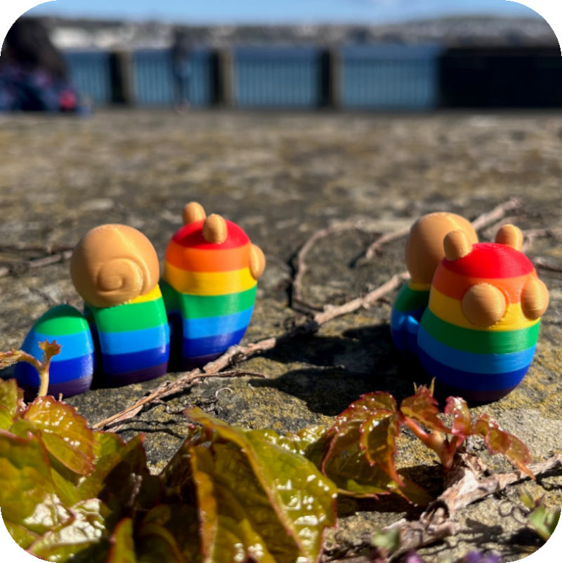 Snail - Rainbow Snail