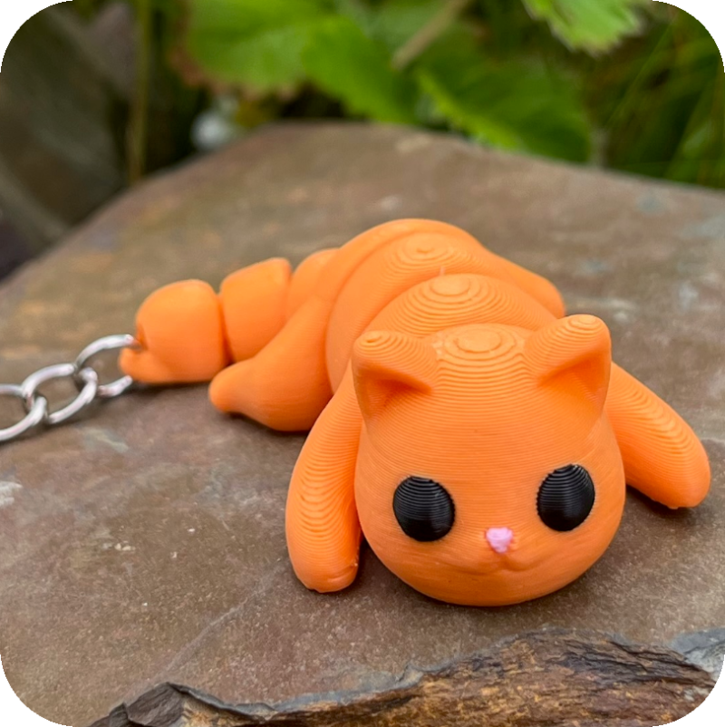 Cat (with foot beans)