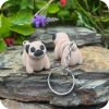 Pug