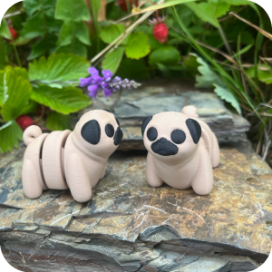 Pug