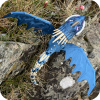 Stormfly