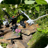 The Fury Family - Toothless, Light Fury, Dart, Pouncer & Ruffrunner
