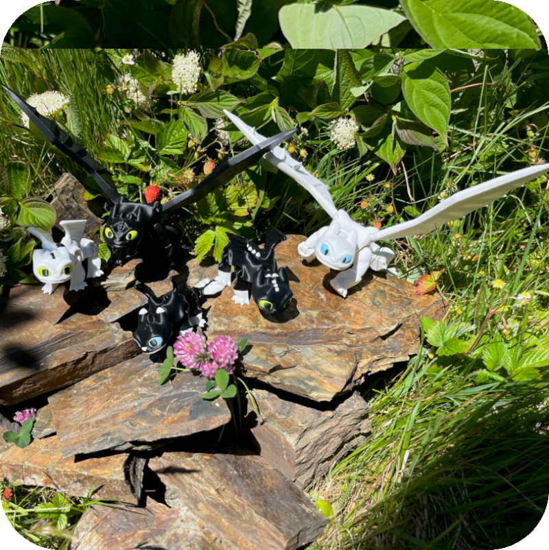 The Fury Family - Toothless, Light Fury, Dart, Pouncer & Ruffrunner