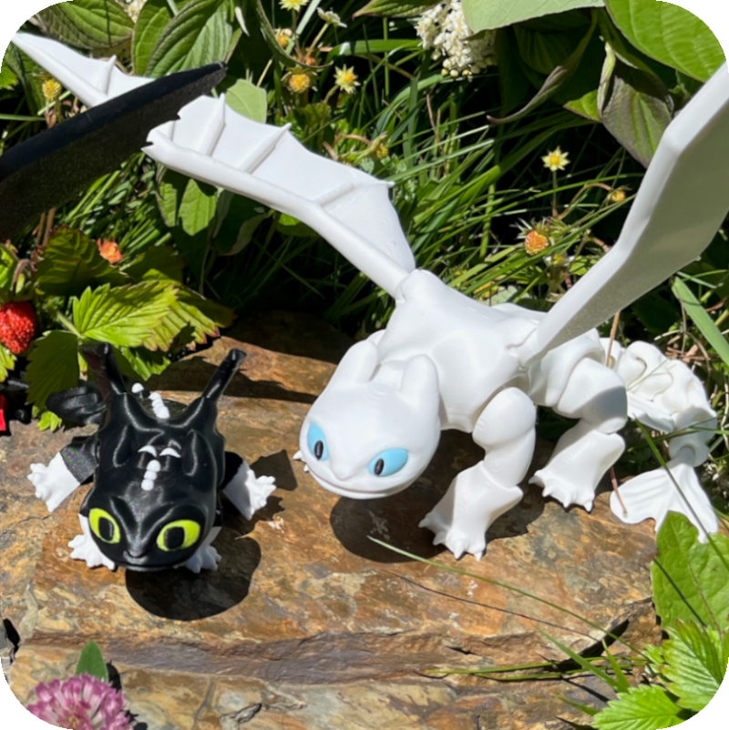The Fury Family - Toothless, Light Fury, Dart, Pouncer & Ruffrunner
