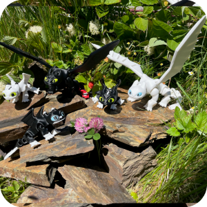 The Fury Family - Toothless, Light Fury, Dart, Pouncer & Ruffrunner