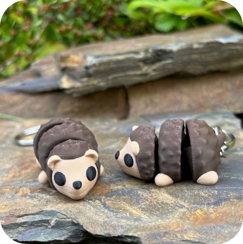 Hedgehog