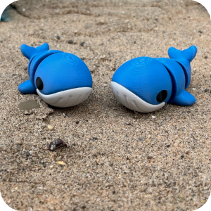 Blue Whale