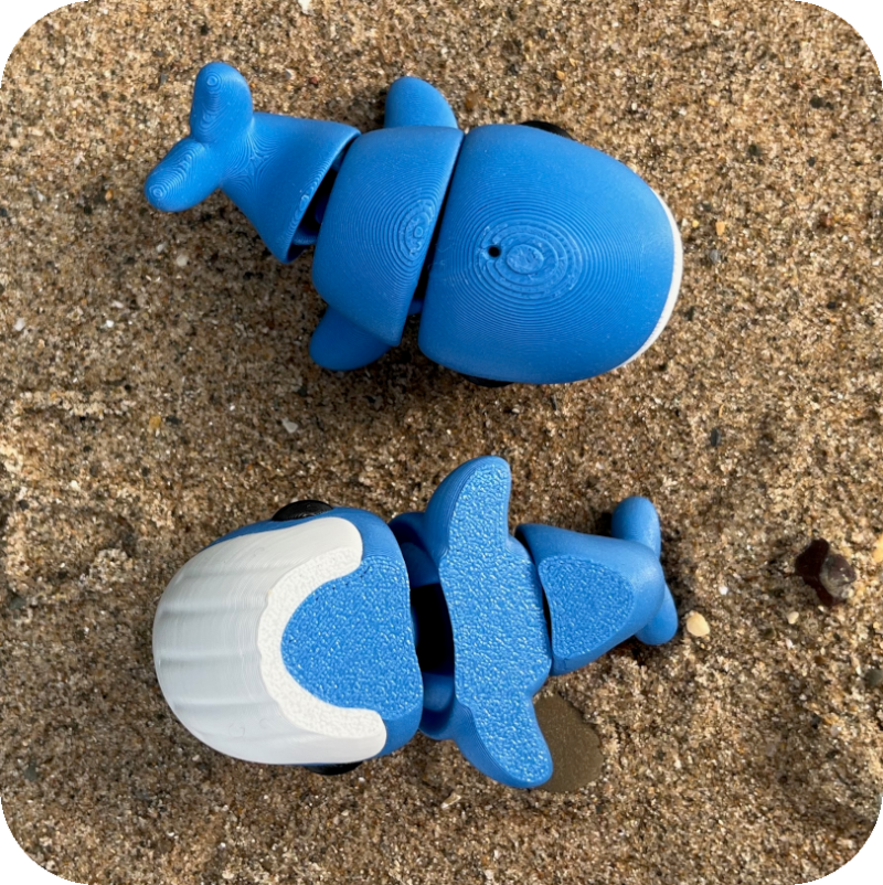 Blue Whale
