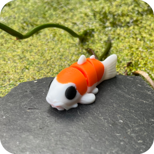 Koi Carp