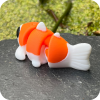 Koi Carp