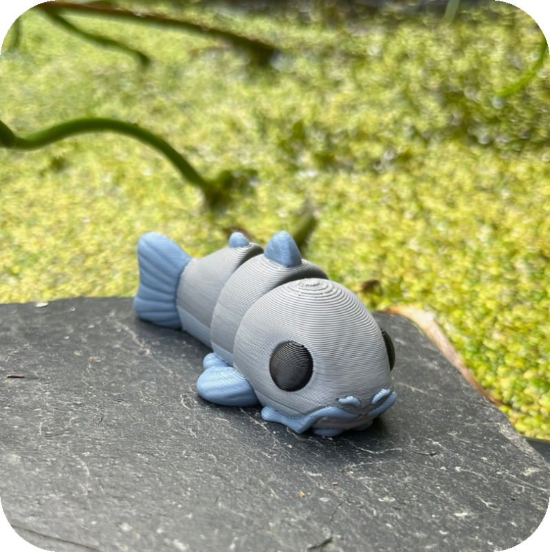 Catfish