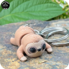 Sloth