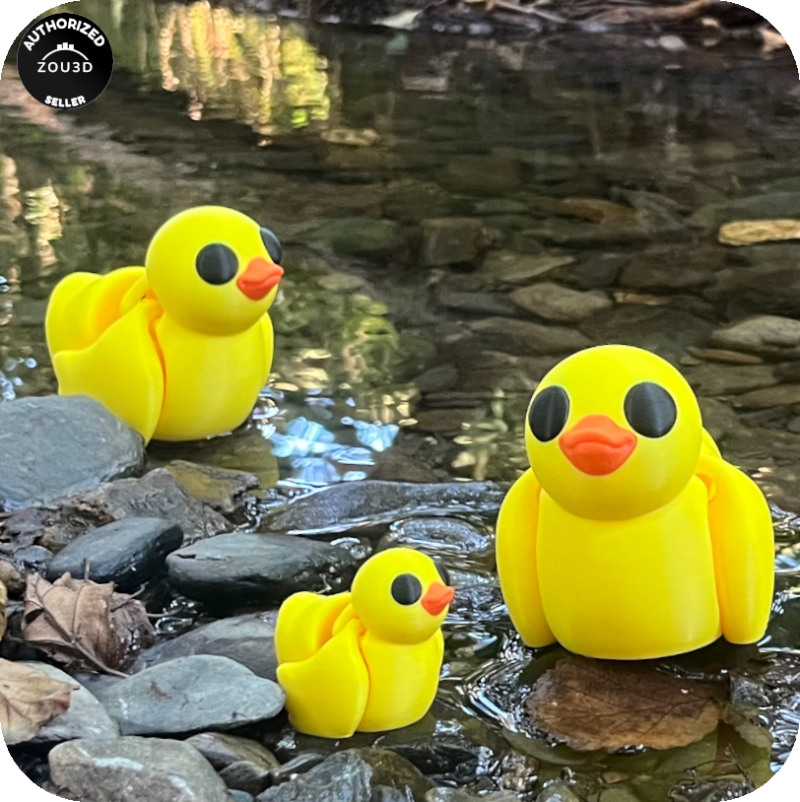 Duck