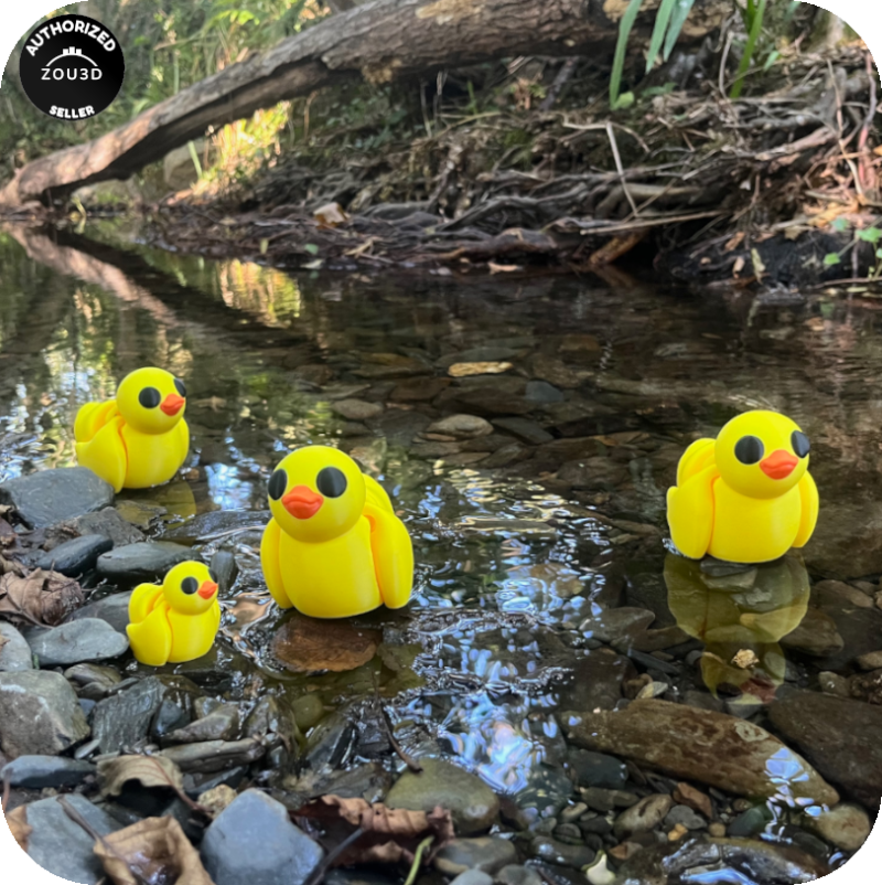 Duck