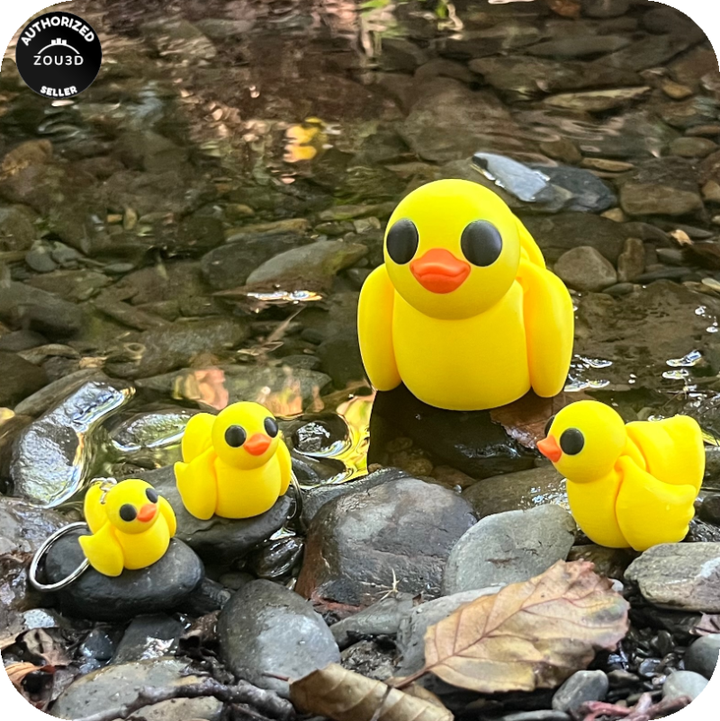 Duck