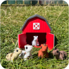 Barn