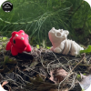 Animal Party Bundle - Pack of 10 - Customise Your Own