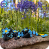 YP3D_Website_Category_ModelCollection_Dragons_6307_BabyFMN1 Forget-me-not Dragon (Baby)
