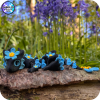 YP3D_Website_Category_ModelCollection_Dragons_6307_BabyFMN2 Forget-me-not Dragon (Baby)