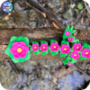 YP3D_Website_Category_ModelCollection_Dragons_6309_BabyLotus4 Lotus Dragon (Baby)