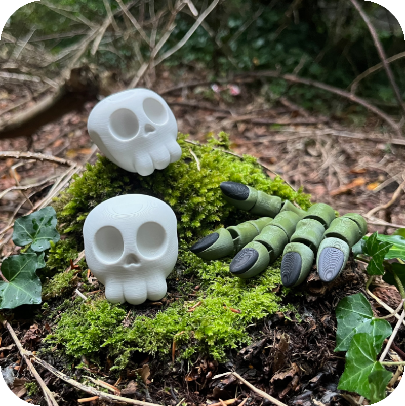 Skull