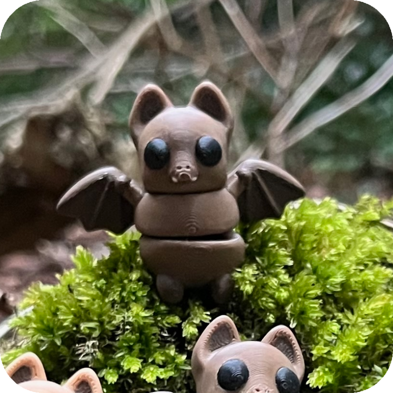 Bat