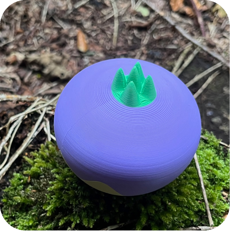 Moot Container