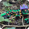Hexbrew Dragon (Baby)