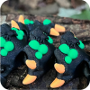 Hexbrew Dragon (Baby)