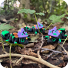 Hexbrew Dragon (Mini)