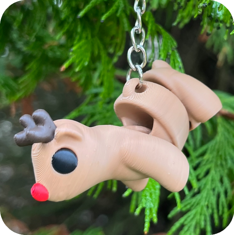Rudolph the red nosed Reindeer (Caribou)