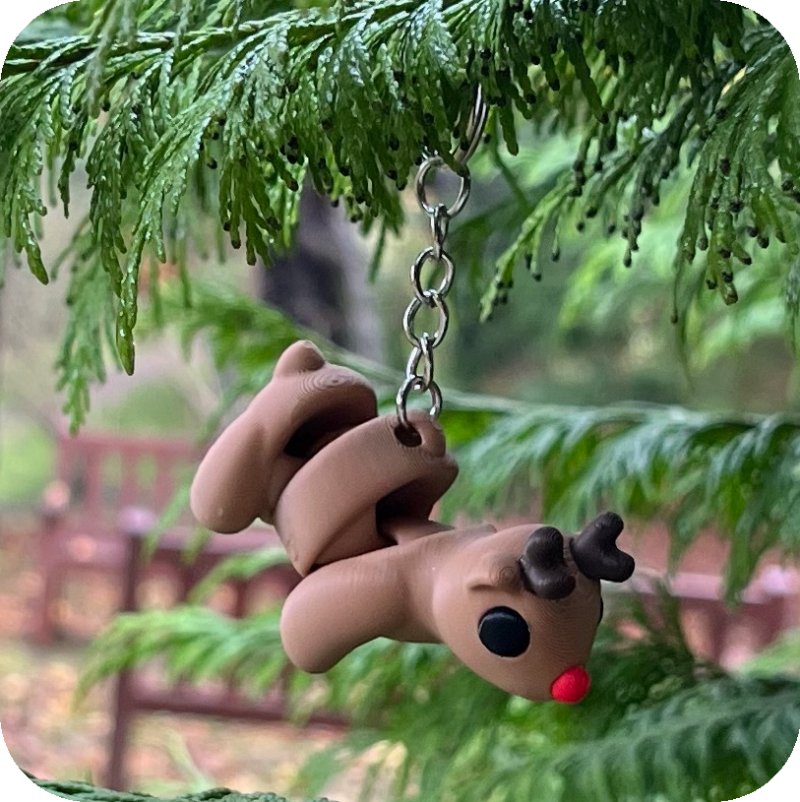 Rudolph the red nosed Reindeer (Caribou)