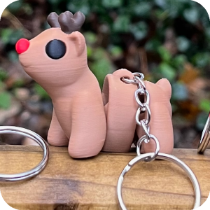 Rudolph the red nosed Reindeer (Caribou)