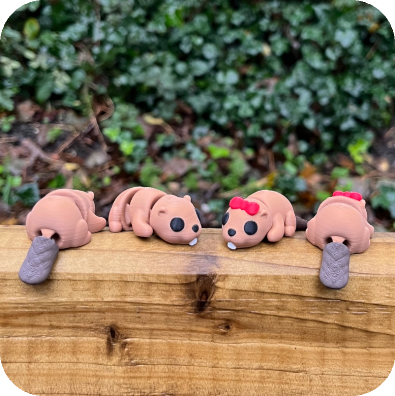 YP3D_Website_Category_ModelCollection_Animals_05521_Beaver2 Beaver Baby