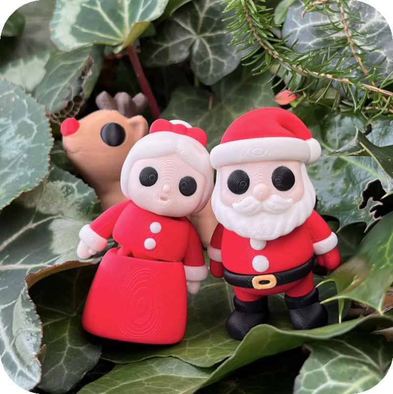 Mrs Claus (Vnr Nollick)