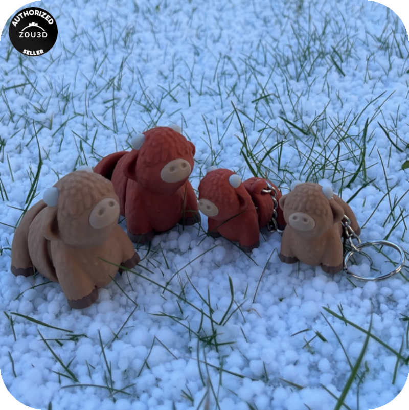 Highland Cow (Heilan Coo)