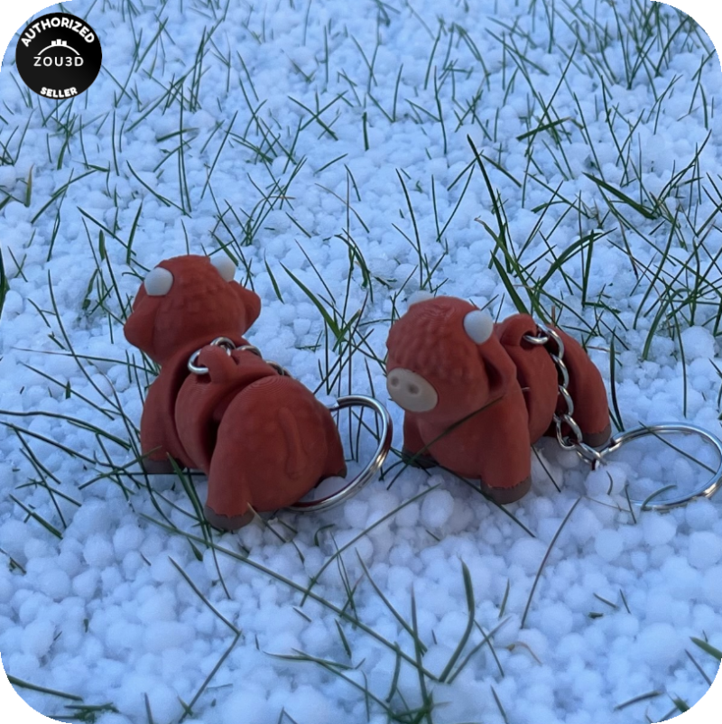 Highland Cow (Heilan Coo)